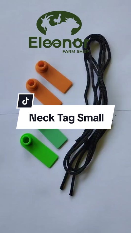 Neck tag kalung domba small 5x1.8cm #fyp#fypage#fyppppppppppppppppppppppp#fypp#fypdong#peternak#peternakkambing#peternakkambingmuda#peternakmilenial#peternakkambingindonesia#peternakkambingjawatimur#peternakkambingjawa#peternaksapi#peternaksapiindonesia#storypeternaksapi#kambing#sapi#domba#kolamsilase#plastikfermantasi#peternakmilenial#kelinci 