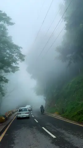 Murree hills 💖🌨️🥰 #fyp #foryou #foryoupage #murreehills #viraltiktok #rain #viralvideo 