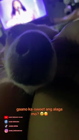 AYLABYU,FIN! 🥰🧡 #MuffinTheSmilingDog #MuffinKulet #MuffinMaldita #MuffinTheGuiltyDog #GabeSerranoVlogs #gabeserranooo 