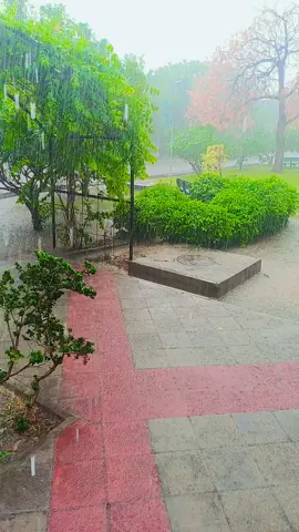 Full Rain At Lums Lahore 🌧 #treanding #viralreels #rain #barish 