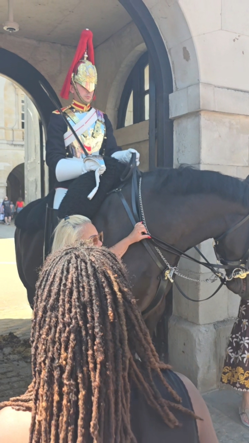 New rule not allowed to touch the horse #tourist #horse #fyp #london #householdcavalry #horsesoftiktok #kingsguard 