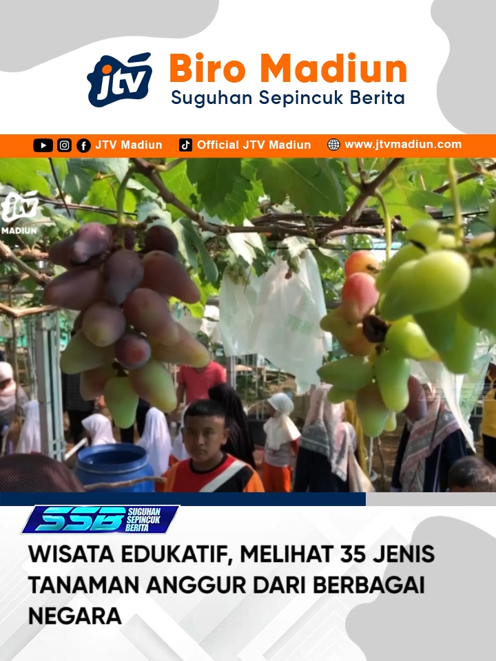 Ponorogo - Jika anda bingung menentukan tempat wisata yang asik dan berkualitas bersama keluarga. Ada baiknya anda mencoba berkunjung ke kebun anggur yang ada di Kabupaten Ponorogo. Selain bisa melihat beragam jenis tanaman dan buah anggur dari berbagai negara anda juga diedukasi serta bisa memetik buah anggur langsung dari pohonnya. #kebunanggur #ponorogo #wisataponorogo