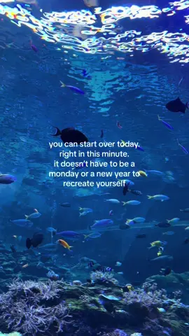 you can start over today. right in this minute. it doesn’t have to be a monday or a new year to recreate yourself #quotes #citation 