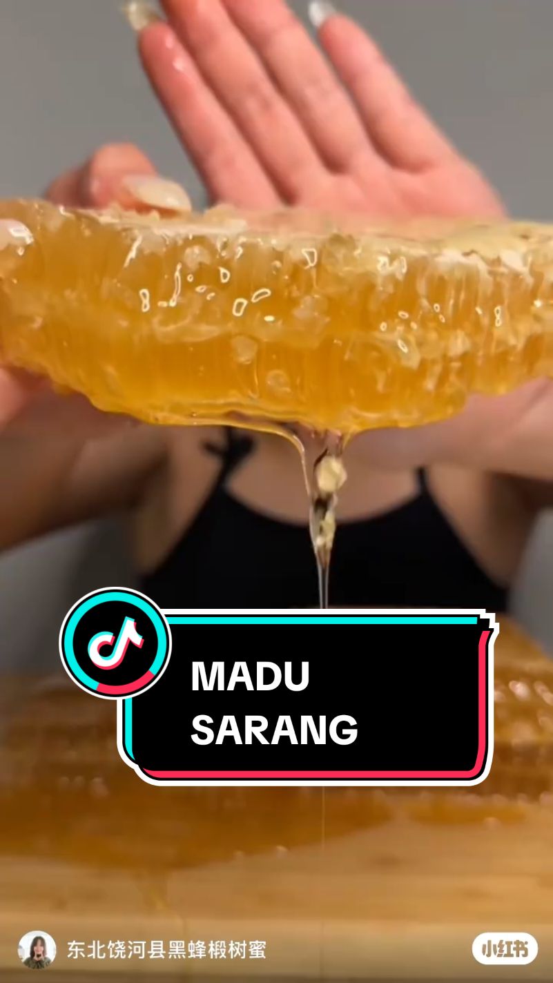 madu sarang lebah asli organik #madusarang #madusaranglebah 