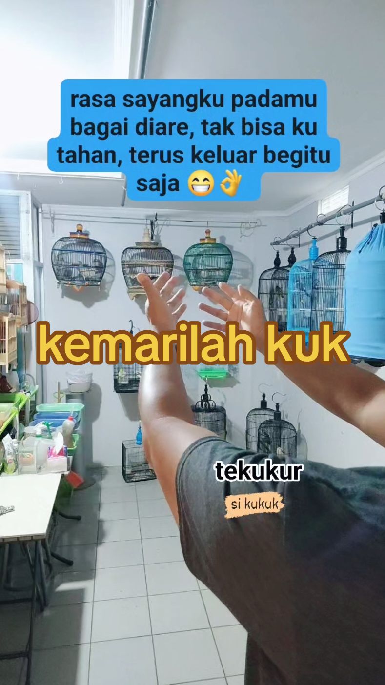 perasaan sayang emang ngak bisa di bohongin ya kuk.... #terkukur #derkuku #tekukur 