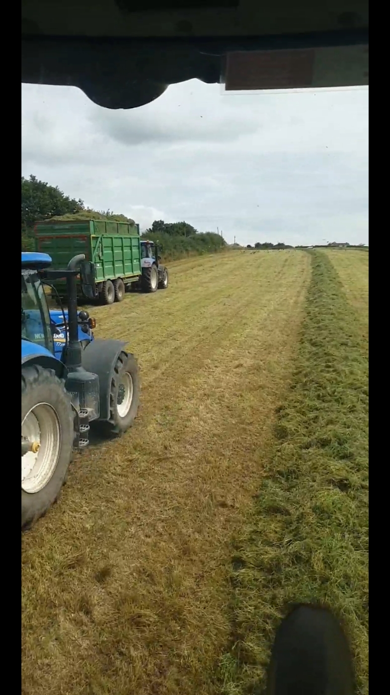 #farmtok #grass24 #farmingtiktok #seancollins970 #mackaflat #harvest24 @Macka 2. 0 