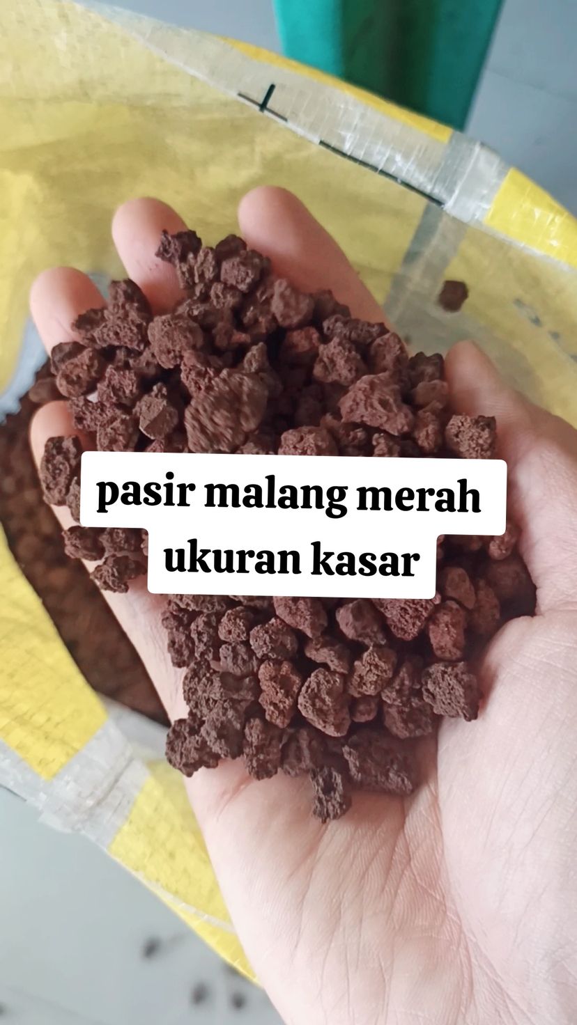 pasir malang merah ukuran kasar #fypシ゚viral #pasirmalanghitam #pasirmalangmerah #pasirmalangmerahsuperhalus #pasirmalangpremium #mamypoko #pasirmalangpremium #pasirmalanghitam 
