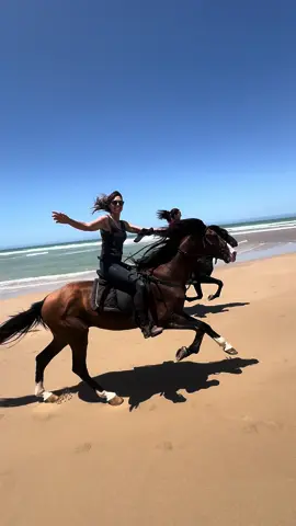 Riding stallions at the beach with my besties @🖤 and @TrevallyHuntress 💫☀️🇲🇦🐎✨🦄 👉🏼 We are a Travel Agency based in Essaouira (Morocco). Join us for an unforgettable horseride holidays. Ride the best horses in town, and meet the best team of riders.  . . . . . . #horses #horsesoftiktok #horse #horsetok #equestrian #fyp #cheval #fypage #viral #viralvideo #pferd #horsesontiktok #лошадь #horselove #essaouira #morocco #lovak #caballos #cavalli #horsegirl #tiktok 