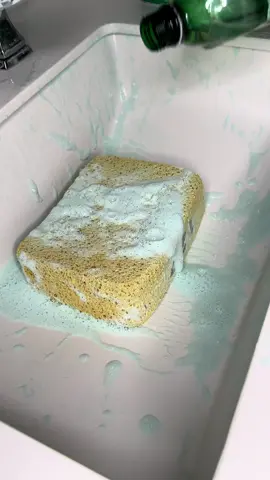Simple sudsy rinse with the last of my Aires De Pino 🌲🫧🫧  I have so many videos in my phone and 0 energy to edit them 😆 how do yall feel about a ss overload for 8k? Ive seen some amazing ones recently 😋😋😋😋😋 #fyp #CleanTok #cleaningasmr #squeezingsponges #cleaningtiktok #asmrspongesqueezing #spongesqueezing #spongesqueezingasmr #spongetok #sinkclean #sudsasmr #spongetherapy #sudsycleaning #rinse #fypシ゚viral #fy #CapCut #asmrsounds 