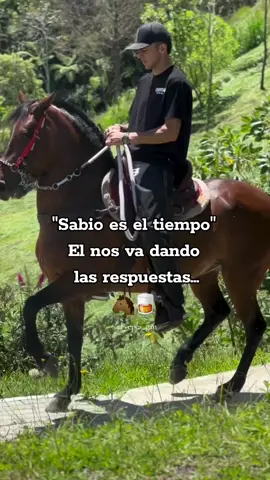 #caballos #viralvideo #viral #frases #yepes_gan #caballocriollocolombiano 