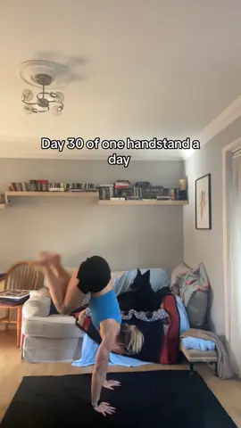 Handstands with indie 🐶  #handstandchallenge #handstand #handbalance #fyp #viral 