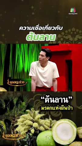 #ต้นลาน กับความเชื่อของแต่ละภาค #คุณพระช่วย #workpoint23 #วัฒนธรรมไทย #EduTok #เท่งเถิดเทิง #อาร์มกรกันต์ #ทับลาน 