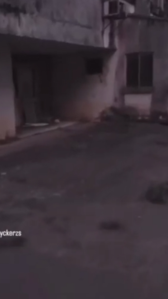 Terrifying Roaring Shadow Figure #scary #creepy #horror #ghost #shadowfigure #haunted #paranormal 