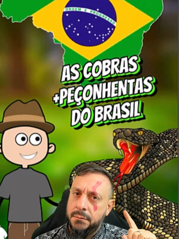 As cobras mais peçonhentas que existem no Brasil? #animais #faunasilvestre #meioambiente #natureza #flagranteanimal #comportamentoanimal #etologia #bio #biologia #biologo #biologa #biologicas #ciência #animal #zoo #zoologia #ecologia #bichos #bicho #vocesabia #curiosidades #biologohenrique   O canal é apresentado pelo Biólogo Henrique para a divulgação científica, visando traduzir a linguagem científica para que qualquer pessoa possa entender os avanços da ciência, principalmente sobre as ciências biológicas. No canal do YouTube Biólogo Henrique - o Biólogo das Cobras exibe a biologia das Serpentes de maneira inusitada, abordando temas em defesa da fauna silvestre, da Ciência, combate à pseudociência, defesa do profissional Biólogo, do meio ambiente, preservação da natureza, educação ambiental, zoologia, ecologia, sustentabilidade, saúde e cultura nerd.