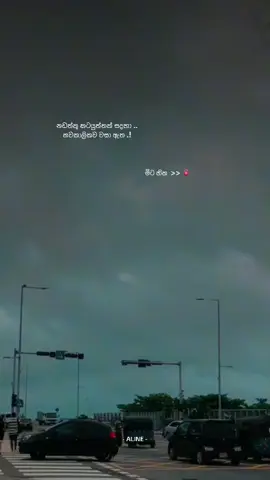 මීට හිත 🫀🥀           #status #qutes #the__aline #srilankan_tik_tok🇱🇰 #viws #songs #hard #foryou #viral   @< | 𝐒𝐇𝐀𝐍 ✨🤍 @ＰＲＡＺＡ||🧸🧀