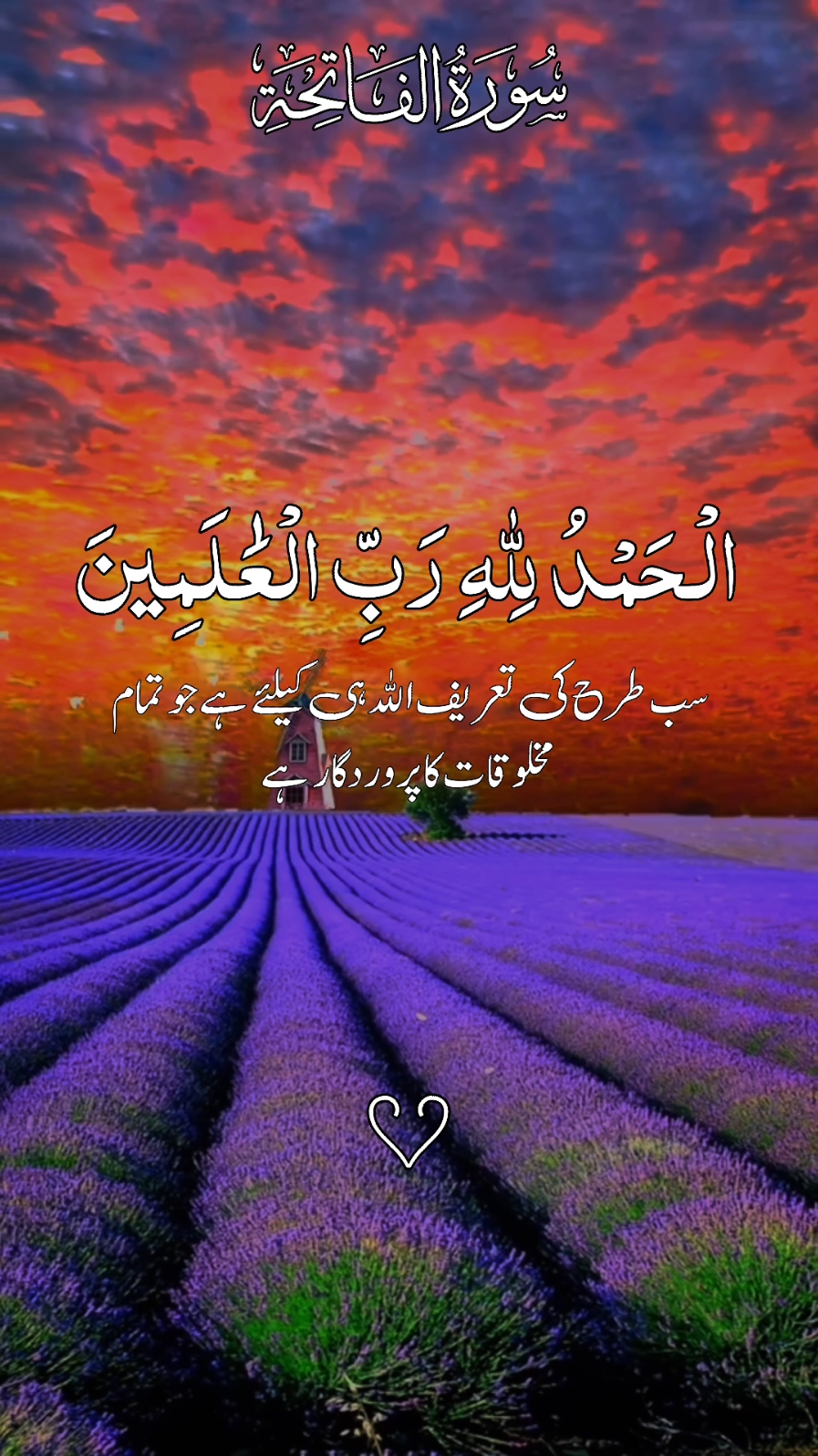 Islamic editing UK USA accounts  buy Karne kelye bio se Whatsapp group join Karen 🌹 #quran #quranicquotes #islamicreminders #islamicreelsvideo🌹🌹🌹#loveyourself #quotes #quran #islamicquotes #quran #islamicreminder #foryou #growmyaccount #viral #trending #fyppppppppppppppppppppppp @TikTok UK @TikTok 