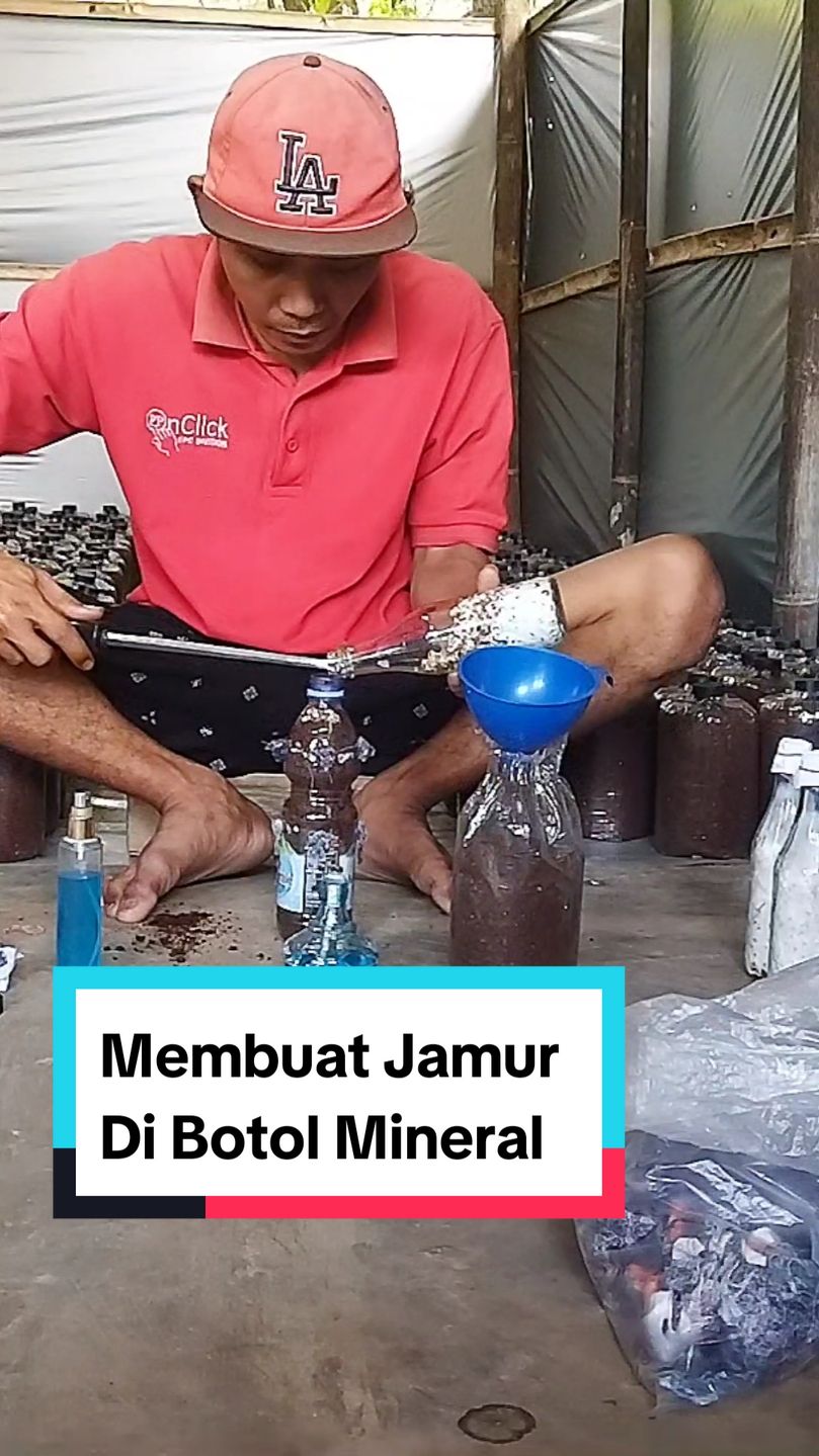 Cara Membuat Jamur Didalam Botol Mineral 😲  #jamurtiram #bibit #pertanian #fyp 