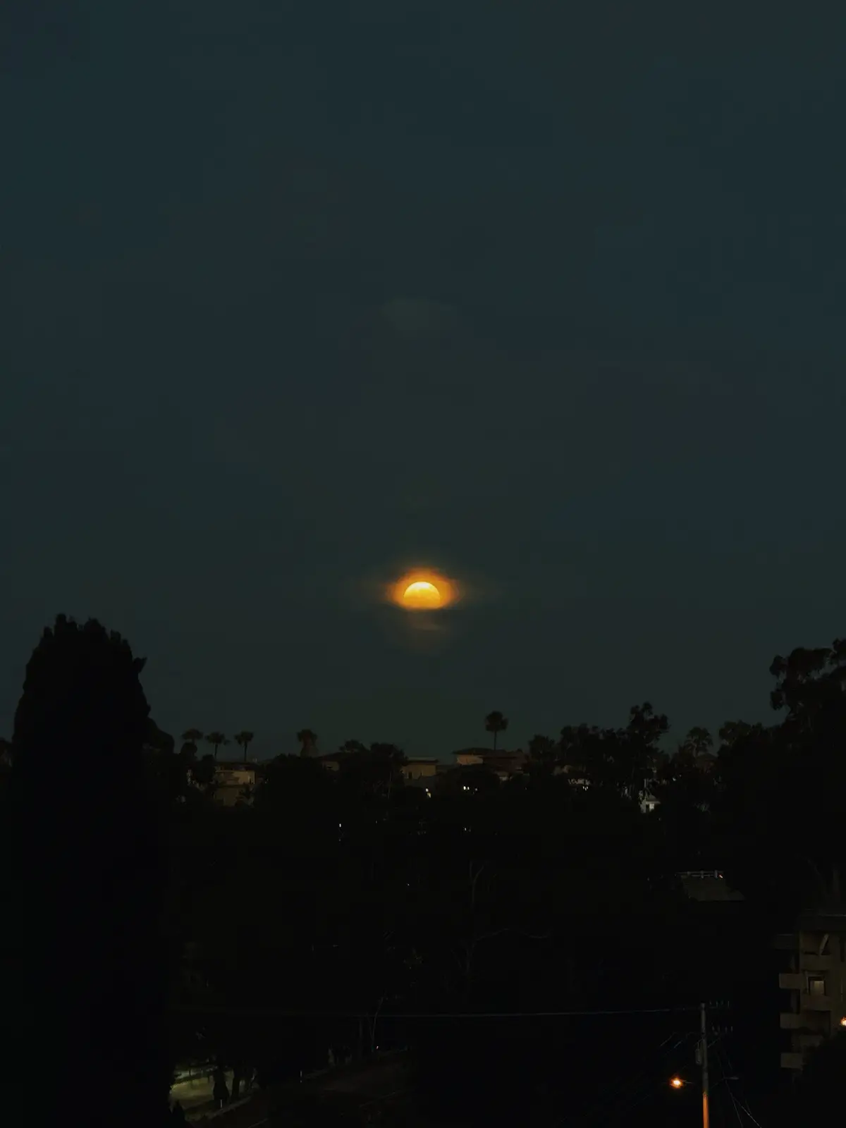 #moon #moonlight 