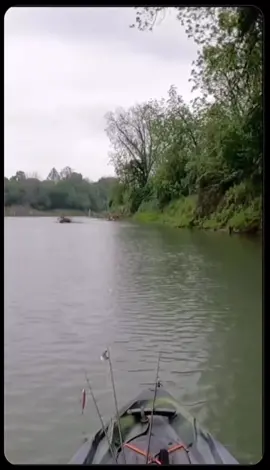 Long range frog casts from the kayak to catch big largemouth bass #fishing #fishinglife #topwater #fypシ゚viral #fish #fisherman #fishingtiktoks #viral #fishtok #bassfishing #largemouthbass #largemouth #largemouthbassfishing #kayak #kayaking #kayakfishing #kayakingadventures 