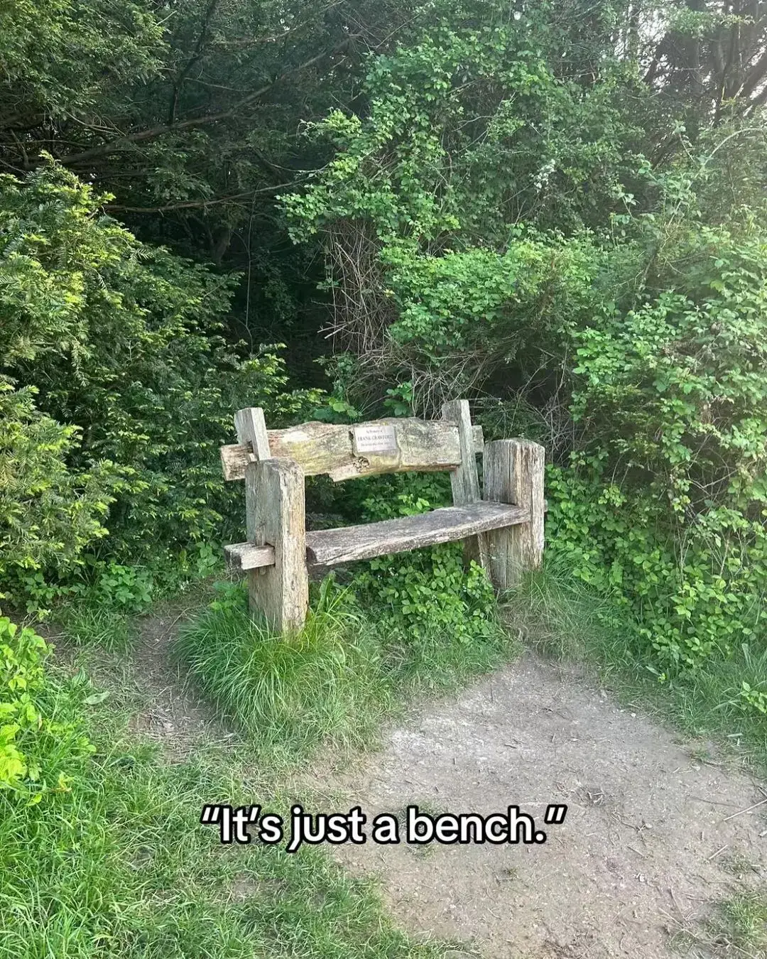 Frank Crawford loved this view, so do I #bench #view #garden #frank 