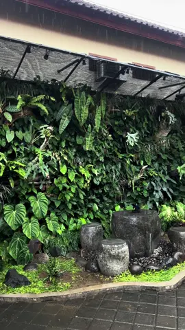 Sejuknya saat hujan⛈️ #verticalgarden #verticalgardenindonesia #verticalgardening #plantwall #gardentok 