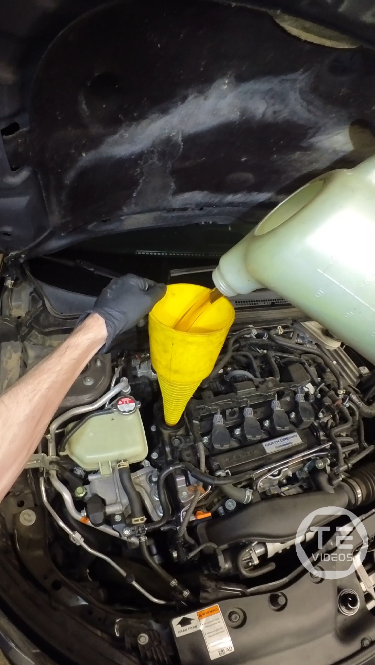 19 Honda Civic Si B Service With Jazz FYB ☝️👀🔧 #honda #civicsi #oilchange #rotate #pov #jazz #asmr #part2soon 