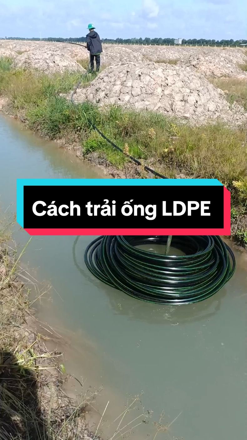 Cách trải ống LDPE nhanh nhất#hethongtuoi #ongldpe 