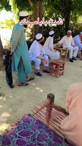 #🌸🕊Masharan#MOHMAND#SAFI#Shinwari#fypシ゚viral ❤️🌸