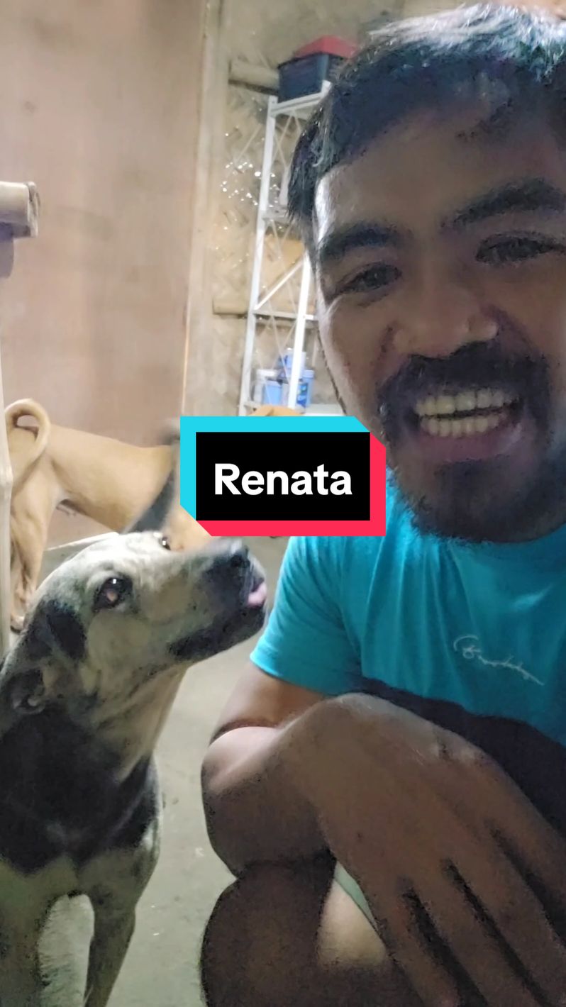 Parang nabawasan ang pagka introvert ni Renata #renata #introvertdog #doglover #ranieltiglao #goodAndthankful #bunikniklegacy 