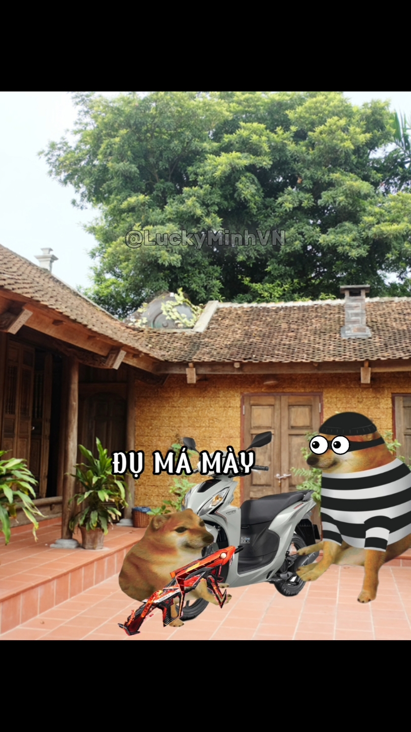 Mẹ ơi cướp xe #memes #cheems #xh #luckyminhvn