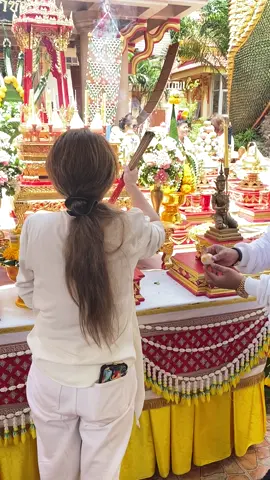ใครอยากเป็นเศรษฐี ฉันหน่ะสิฉันหน่ะสิ🙌🏻✨😘   ** โปรดใช้วิจารณญาณในการรับชมจ้า **   #หมอปลายพรายกระซิบ #หมอปลาย #ท่านยม #plainavaracha 