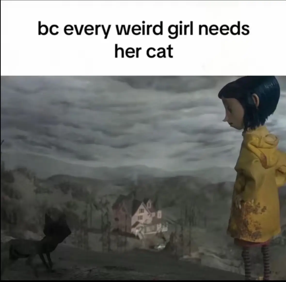 me kitties 