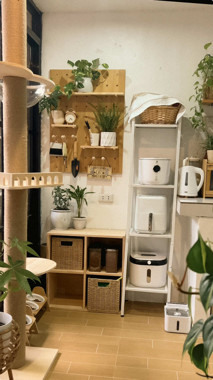 DIY Cat Corner. 🫶🤎🌱😻 #DIY #homeimprovement #catsoftiktok 