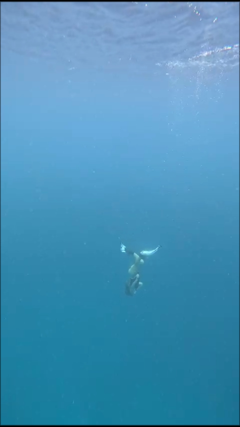 recharging in the deep blue🌊 #blueocean #freediving #travel #traveltiktok #maldives #Naifaru #budgettravel #budgetfriendly #guesthouse #fypシ #p 