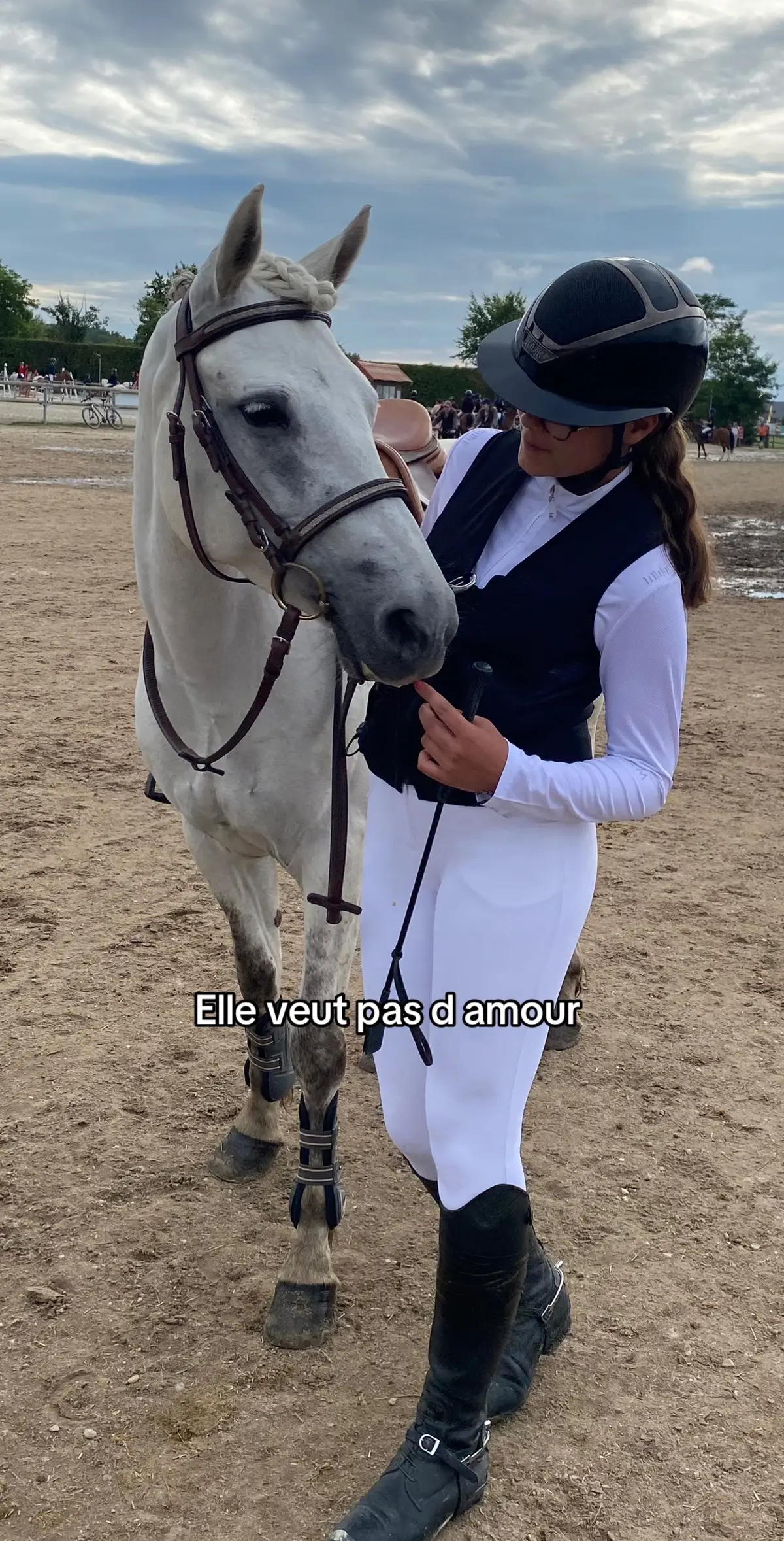 @eva_et_iro un jour on réussira à tous les avoir tkt 😭#pourtoi #horse 