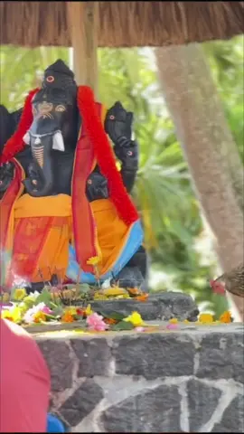 Don’t give up Lord Ganesha  Hears your silent prayers 🙏❤️. #ganesha #prayer #lordganesha #bless #happiness #fypシ゚viral #viralvideo #showsomelove #mauritius🇲🇺 #fypシ #viraltiktok #goviral #fyp #viral 