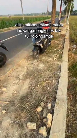 awass ngamokk🗿#fypシ゚viral #katakata #iclik #masukberanda #tiktokpelitfyp #tuban24jam #eli #fypage #kajitoyek 