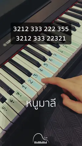 [EP.4] Piano Tutorial - หนูมาลี 😻(Mary had a little lamb) #หนูมาลี #maryhadalittlelamb #pianois #สอนเปียโน #เรียนเปียโน #โชกุนเปียโน #shogunpiano  #pianotutorial #teach #pianoteacher #pianoteaching #สอนเล่นเปียโน #โชกุนมาสอน #musicnightth 