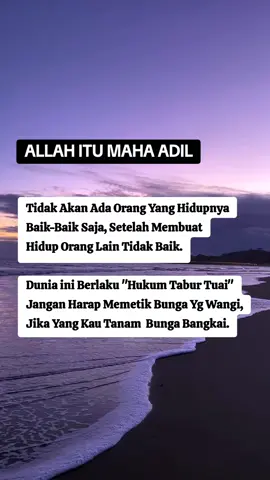 hukum Allah sangat nyata, dan Adil jadi jangan bangga karena bisa mendzolimi sesamamu #TTPetualangPro #fyp #fypシ #foryou #foryoupage #untukmu #selingkuh #storytime #tiktok #reel 