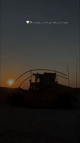 #الجيش_العراقي #الجيش_العراقي_سور_الوطن #ابوشاهين🧿 #ناصر_الوبير #ناصر_السبيعي 