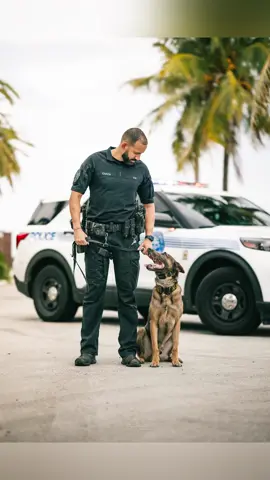 City of Miami PD Photography w/ Ofc. Garcia & K9 Blue 🙌 🐕  • • • • • • • • • 🎥 Shot on @insta360 X3 📸 Camera @canonusa EOS R5 / RF 85 1.2 DS • • #canoneosR5 #canonRF8512DS #nolanreganphotography  #nolanregan #nolansoflo #nolansphotos #photography  #POV  #miamidadecounty #florida #miami  #streetphotography  #insta360x3  #canon
