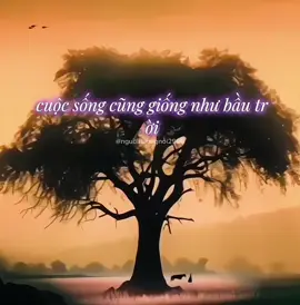 #ýnghĩacuộcsống #caunoihaymoingay #caunoihayvecuocsong #thuctinh #caunoihay #xh #xuhuong #xhuong #xh #nguoihuongnoi2909 
