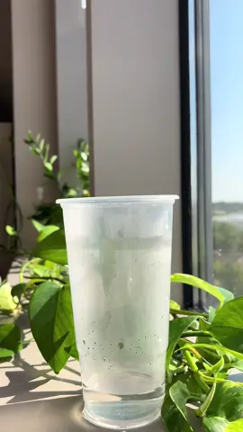 Such a good way to start your day! #ad #tiktokshop #tea #loadedtea #growmyaccount #fyp #VocêNasceuParaMudar 