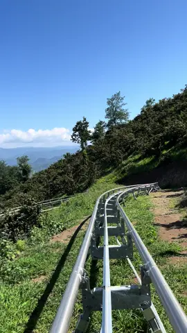 Dağ kızağı boztepe😍#dağkızağı #ordu #boztepe #adrenalin #keşfet #CapCut #yaylalar 