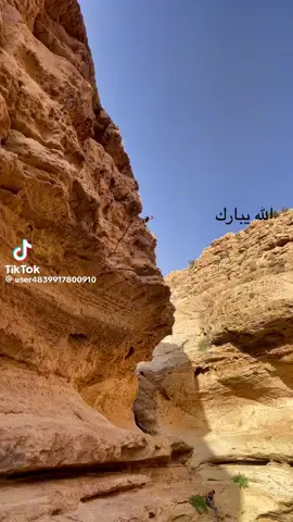 احله ام الاقرب مايسمي بي نانا تاله 