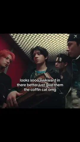 feel like coffin cat is a zombie #jay#jake#ni_ki#sunghoon#heeseung
