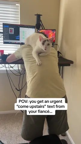 To be fair, it WAS urgent… #gandalfthecat #catdad #menwholovecats #shouldercat 