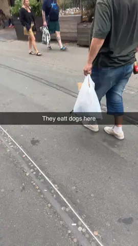 Germany was a strange place ! Who carrys a dog in a carrier bag 😂😂😂🙈 #dogs #germany #takeaway #hotdog #funny #fun #lol