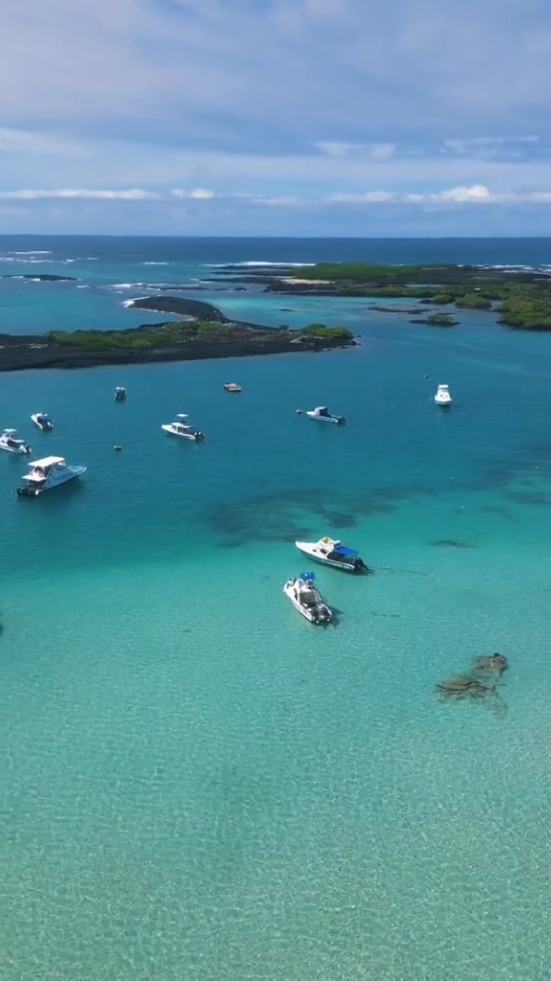 📌 Isla Isabela, Galápagos 🇪🇨 #Ecuador 🇪🇨 #galapagos #beach  #estoesecuador #estotambienesecuador  #allyouneedisecuador #timetoreset #visitecuador  #ecuadortravel #ecuadorturismo #ecuadorturistico  #ecuatoriano   #ecuatorianosporelmundo🇪🇨🌏💫  #ecuatorianos🇪🇨en🔵usa🇺🇲  #guayaquil #quito #manabi  #turismo #world #natgeo #paisajes #adventure  #travel #southamerica #america #europe #asia #africa  #viajero #mochileros  #latinoamerica #tourism #tourist #visit #destination  #fyp #foryou #parati #Viral #tiktok #fypシ 