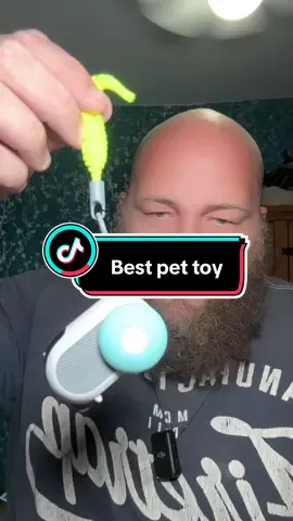 The best toy for cats and dogs #tiktokmademebuyit #pettok 